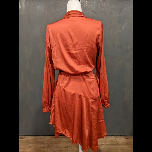 Satin Dress - Picture 4 of 4